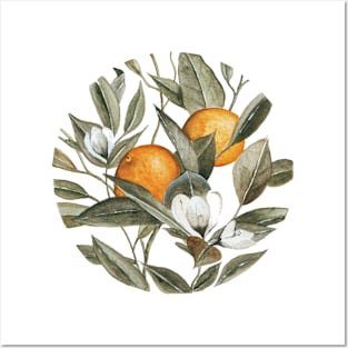 Orange Blossom Posters and Art